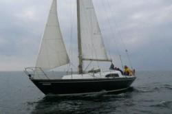 panacee-na-wodzie.jpg