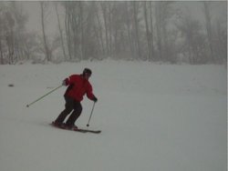 skiwhale2010.jpg