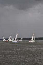 DSC_1449.JPG