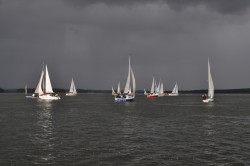 DSC_1446.JPG
