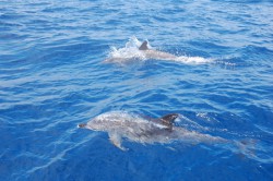 DSC_5402.JPG