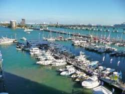 2Marina_Miami_Florida.jpg