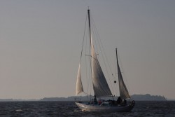 CRW_9706.jpg