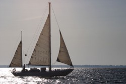 CRW_9712.jpg