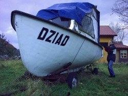 dziób7.jpg