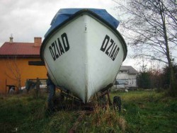 dziób3m.jpg