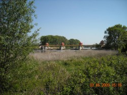 DSCN0453.JPG