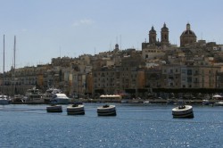 DSC07530.jpg