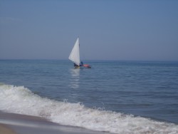 IMG_0463.JPG