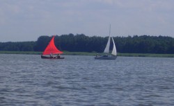 IMG_0503.JPG