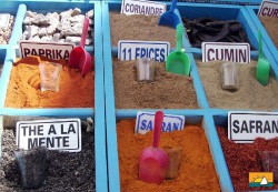 Tunis2.jpg