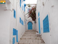 Tunis3.jpg