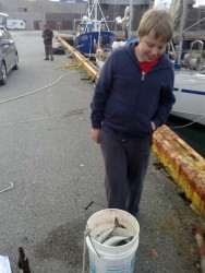 kuracentowo_20120817290.jpg