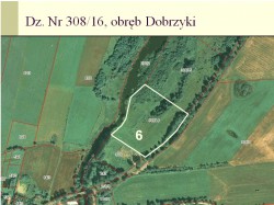 308-16.jpg