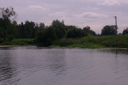 IMAG0056.jpg