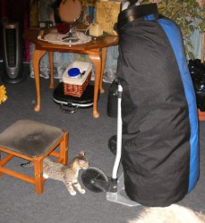 DSCN0228.JPG