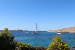 IMG_6013_mini.jpg