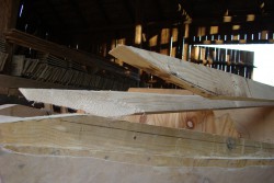 DSC09844.JPG