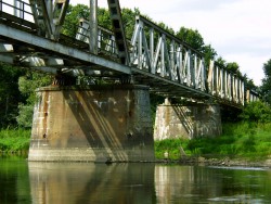 Kurka Wodna 090.jpg
