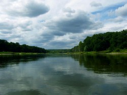 Kurka Wodna 093.jpg