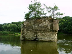 Kurka Wodna 106.jpg