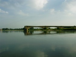 Kurka Wodna 135.jpg