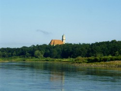 Kurka Wodna 035.jpg