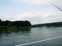 Kurka Wodna 098.jpg