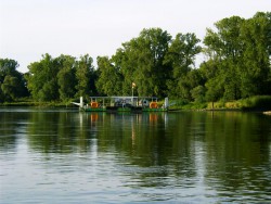 Kurka Wodna 111.jpg