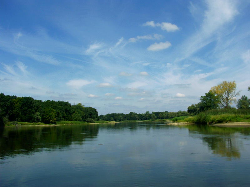 Kurka Wodna 116.jpg