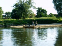 Kurka Wodna 134.jpg