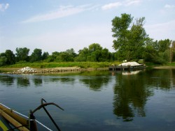 Kurka Wodna 137.jpg