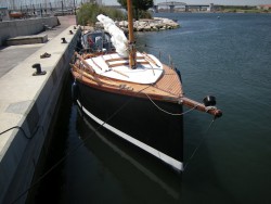 Catz 2009 0.jpg