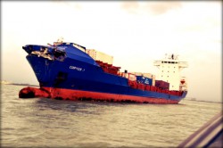 Corvus J 1.jpg