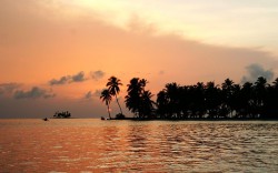 IMG_2265.jpg