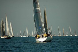 RIOW 02.jpg