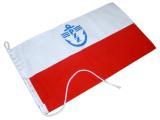 bandera_pzz.jpg