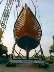 Aquamarin dziób.jpg
