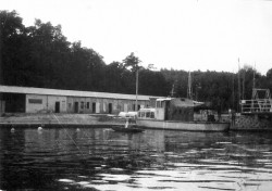 7308jadwisin05.jpg