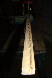 DSC00138.JPG