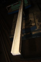 DSC00144.JPG