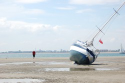 DSC_0554.JPG