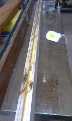 IMAG03193.jpg