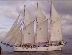 borchard01.jpg