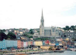 cork1.jpg