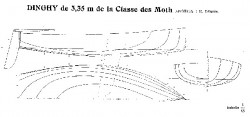 moth4 650.jpg