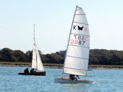 Bosham_Moth.jpg