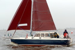 HABER_800cutter_4c.jpg