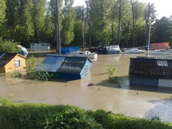 20100521237.JPG
