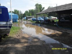 SDC11544.JPG